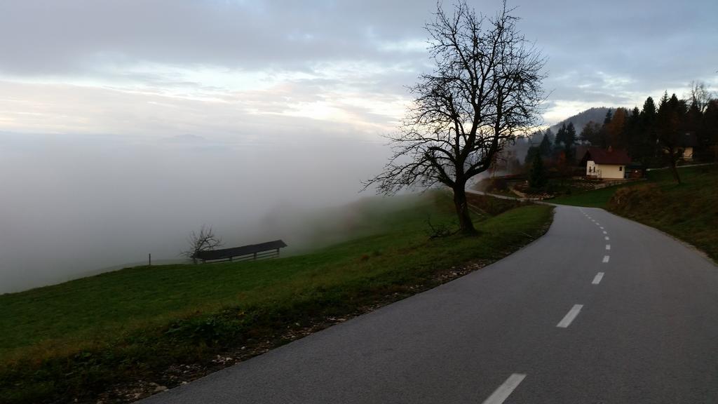 Turizem Pavlin Apartments Senturska Gora Dış mekan fotoğraf
